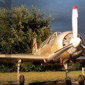 yak flyer