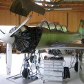 Yak im Hangar Andelsbuch